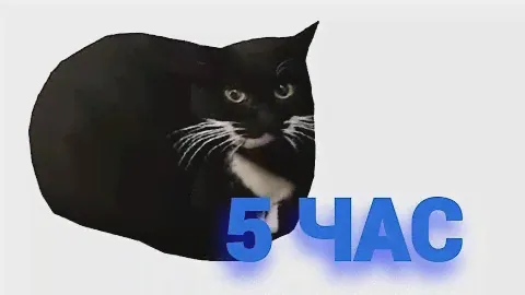 5 ЧАС MAXWELL CAT