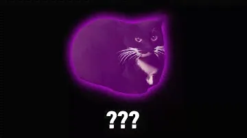 10 "Maxwell The Cat" Sound Variations in 43 Seconds