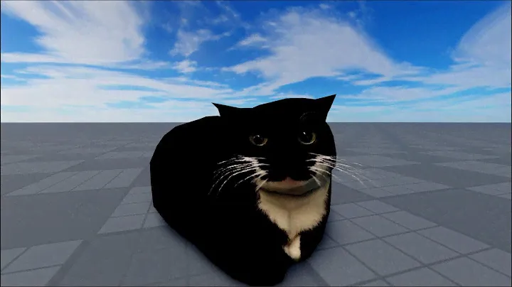 Maxwell The Cat