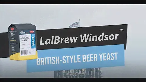 LALBREW WINDSOR™ - ДРОЖЖИ ДЛЯ ПРОИЗВОДСТВА ПИВА В БРИТАНСКОМ СТИЛЕ